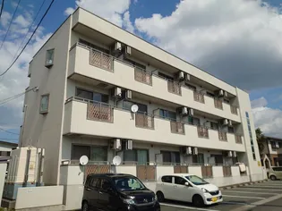 エヴァーグリーン【3階】の外観