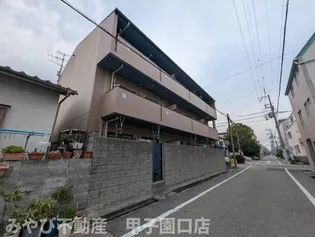 シャルマンの画像