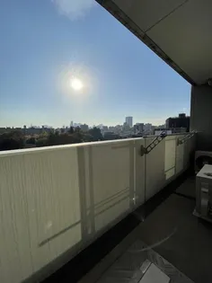 スカイコートルーベンス西早稲田【11階】の外観