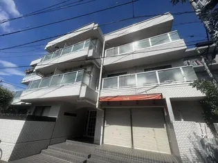 ビーネサイネリアの画像