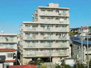 パールハイムの画像