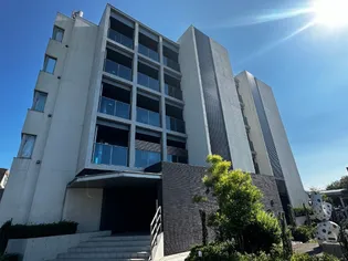 セリシールの画像