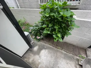 カルム泉町【1階】の内装