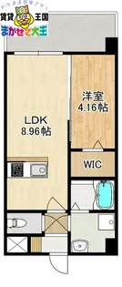 MODERN PALAZZO 文教通りGrow【5階】の間取り