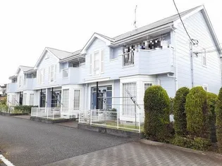 ミレニアム Tの画像