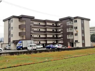 ラ ルーチェの画像