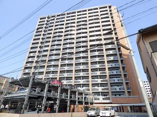 ロイヤルノースナインの画像