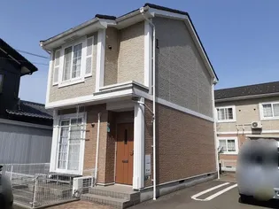 オリーブの画像