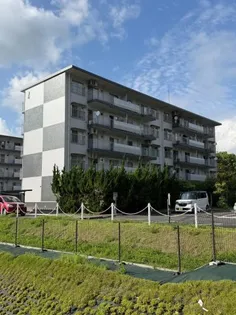 緑苑東団地4棟の画像