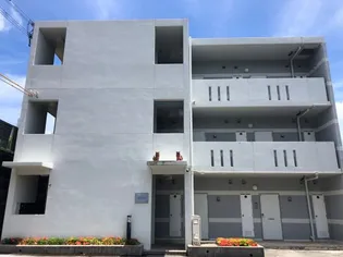 ギークニシムイの画像