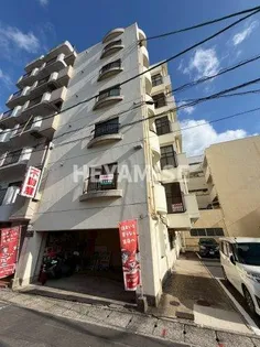 アバンセこおろぎの画像