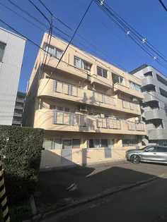 コートグレースの画像