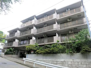 ハイブリッヂPAOの画像