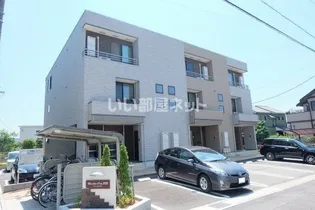 ローダンセの画像