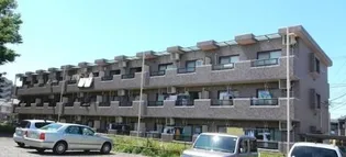 グレイスの画像