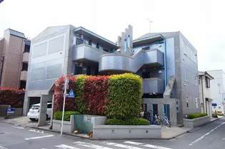 アクティフセーヌフカヤの画像