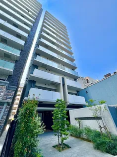 イルミナルグランデの画像