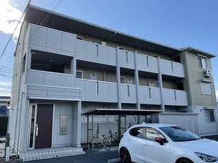 プラトンの画像