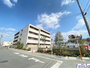 SHAMAISON FELICIAの画像