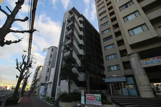 ダイレ エヌの画像