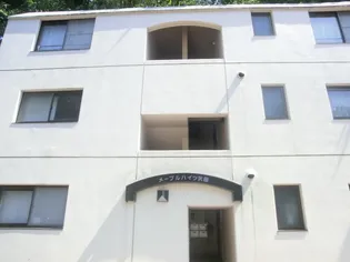 メープルハイツ沢田【3階】の外観