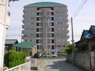 グレイスシラカワの画像