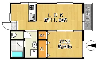 ドルフ【1階】の間取り