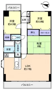 ラフィーネ八千代【8階】の間取り
