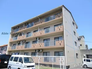 津 IN COURT 練木の画像