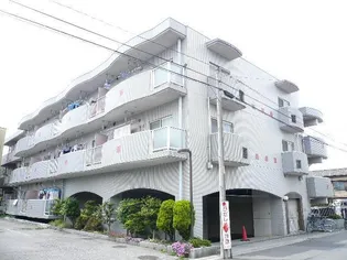 エトワールテラの画像