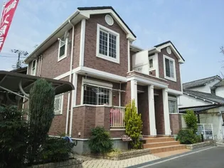 シード リーフの画像