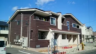 コル レオニスβの画像