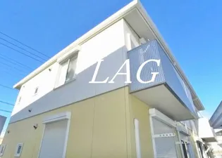 イレックスの画像