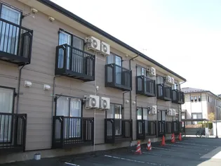 フォーレストCの画像