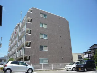 メゾン南昭和A【5階】の外観