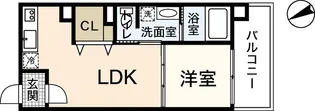 小町グランデ【2階】の間取り