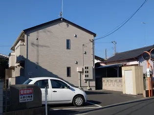 フリージアの画像