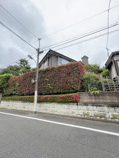蒼梧ハイツの画像