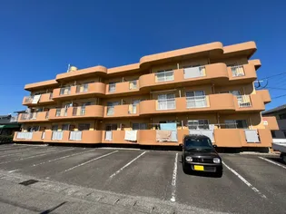 ネバーランドの画像