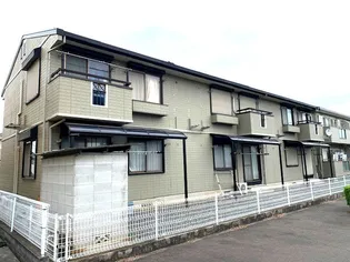 メープルAの画像