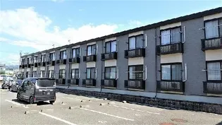 レオパレスカモミール【2階】の外観