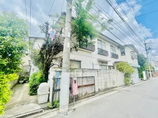 みどり荘の画像