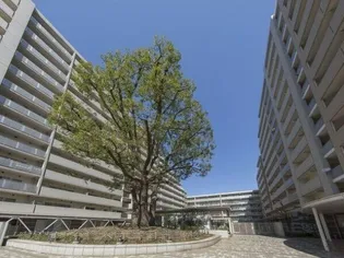 シティコート目黒3号棟【6階】の外観