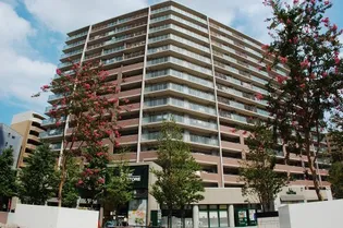 エル セレーノ上本町レジデンスの画像