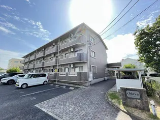 キアーヴェの画像