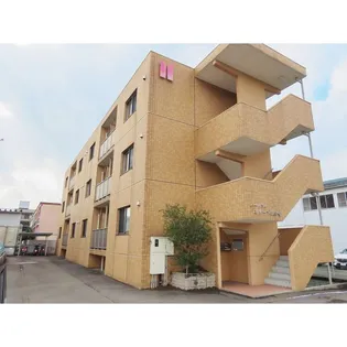 ハートフルオリーブの樹の画像