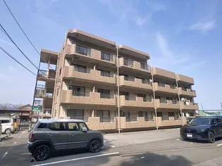 マリベールライツの画像