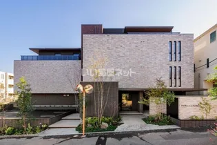 ステラ キャシェットの画像