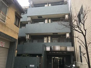 スカイコート新宿落合第5【3階】の外観