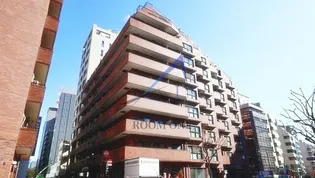 ライオンズステーションプラザ半蔵門【8階】の外観